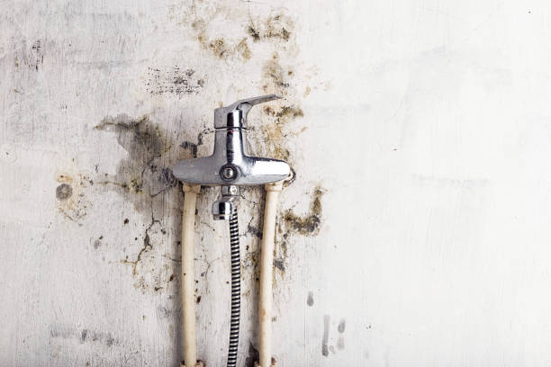 Best Mold Testing  in Carlsbad, NM