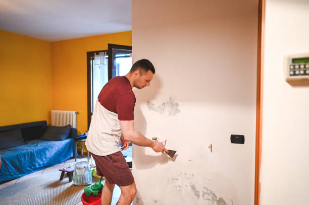 Best Mold Remediation Services  in Carlsbad, NM